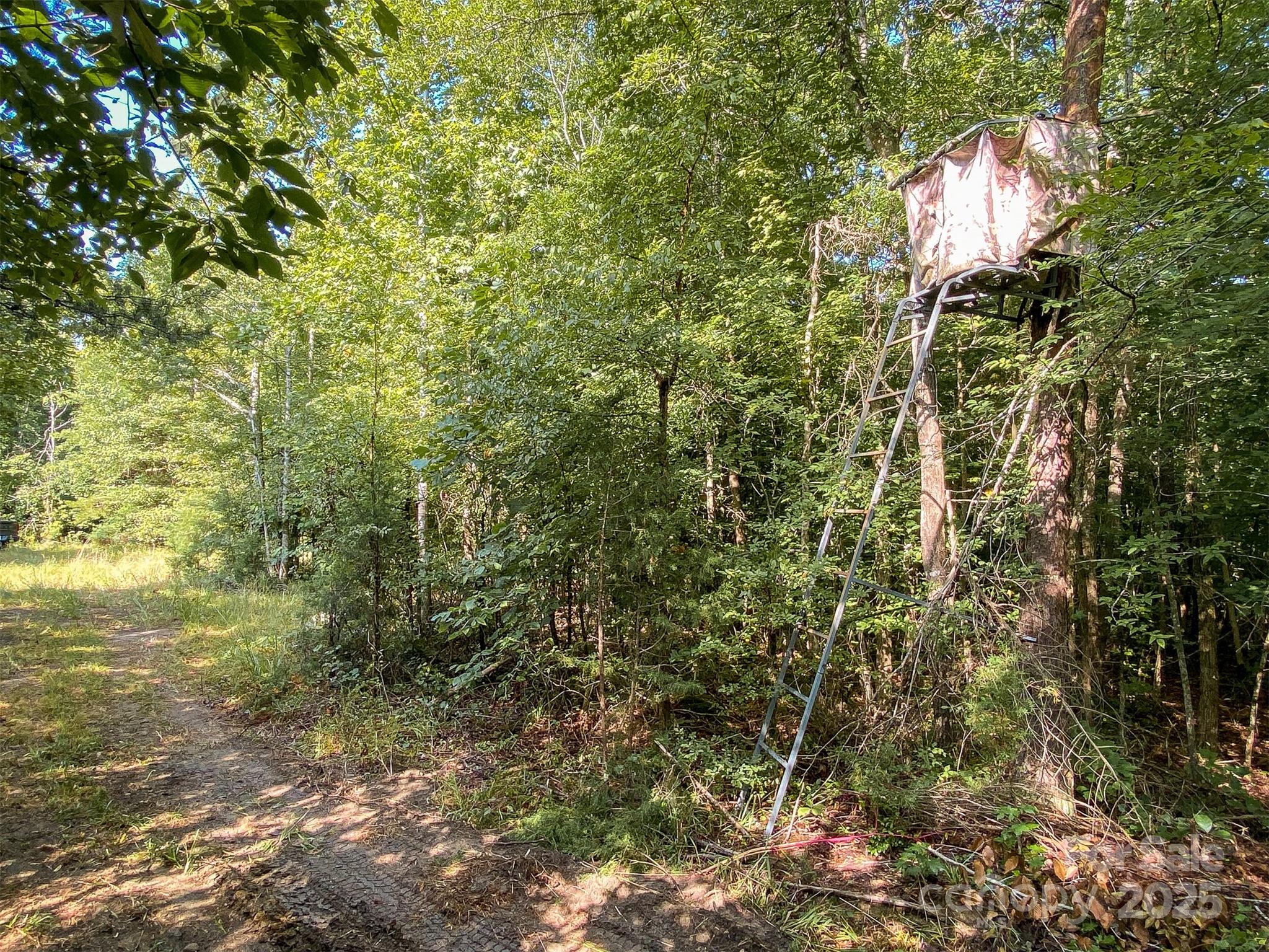 0 Mountain Road Cleveland, NC 27013 - Photo 12 of 39 Gallery Image 12