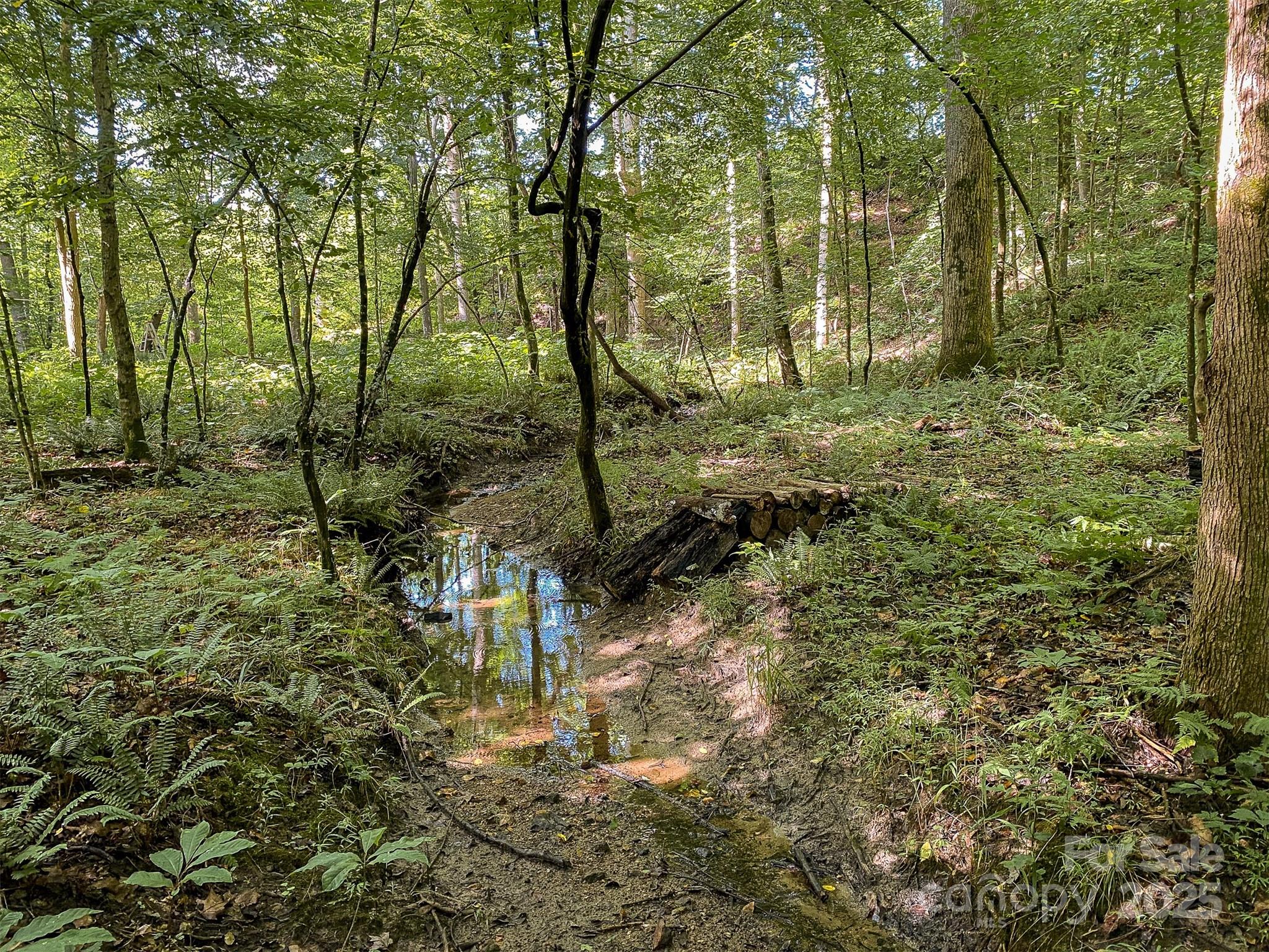 0 Mountain Road Cleveland, NC 27013 - Photo 16 of 39 Gallery Image 16