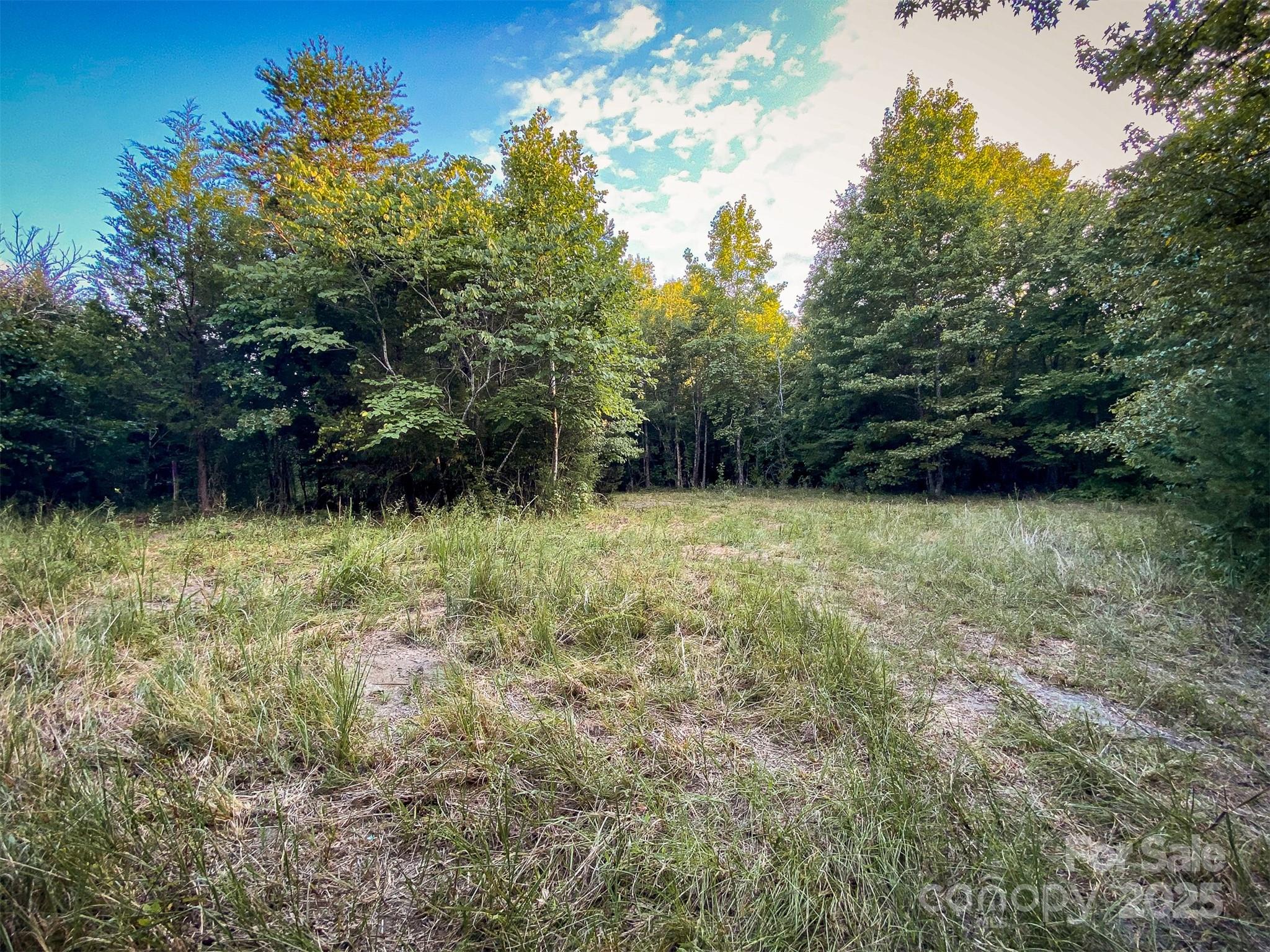 0 Mountain Road Cleveland, NC 27013 - Photo 17 of 39 Gallery Image 17