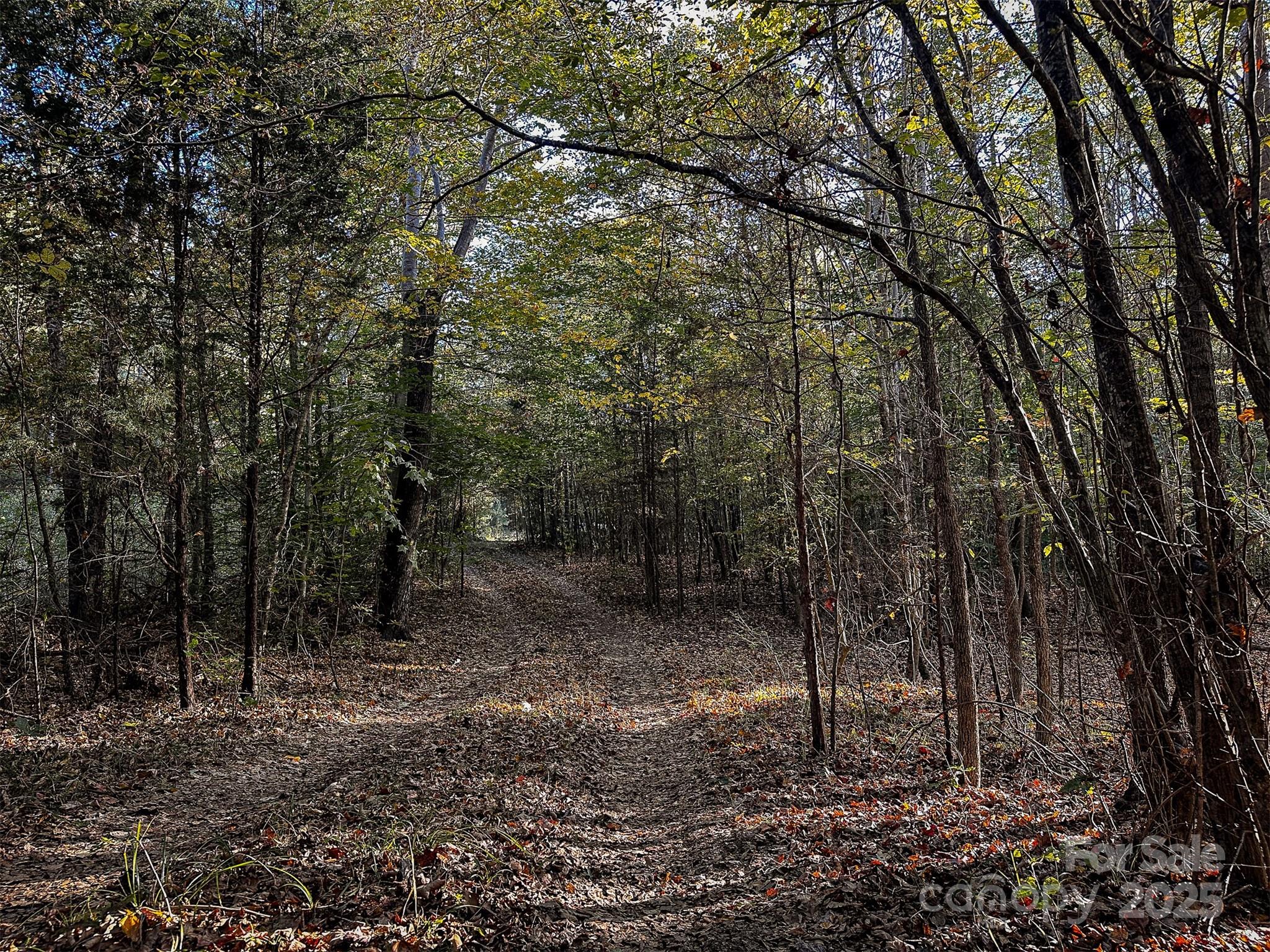 0 Mountain Road Cleveland, NC 27013 - Photo 18 of 39 Gallery Image 18