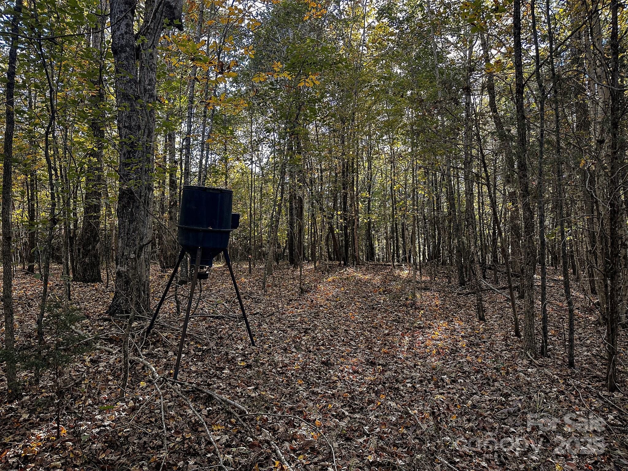 0 Mountain Road Cleveland, NC 27013 - Photo 21 of 39 Gallery Image 21