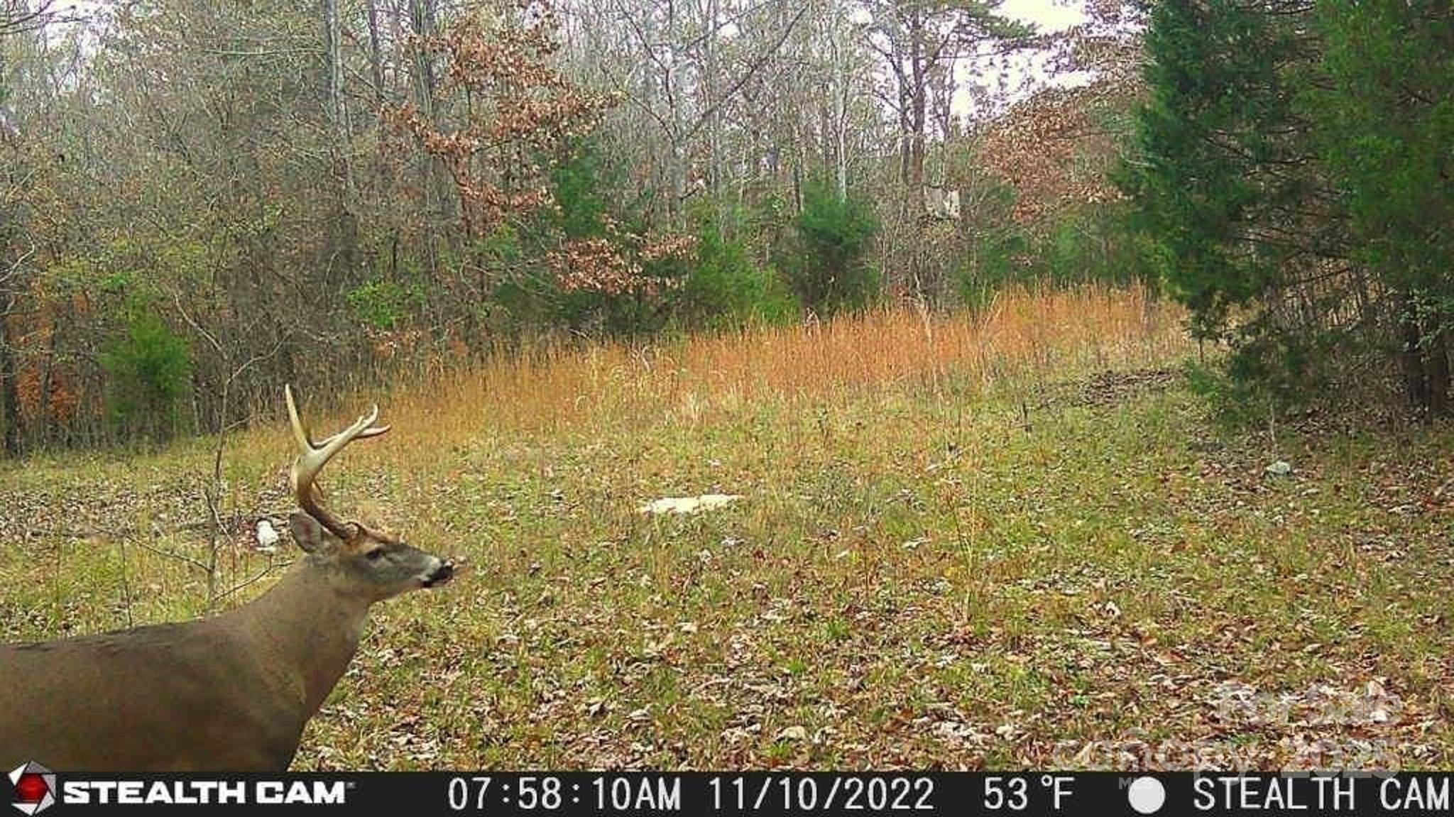 0 Mountain Road Cleveland, NC 27013 - Photo 23 of 39 Gallery Image 23