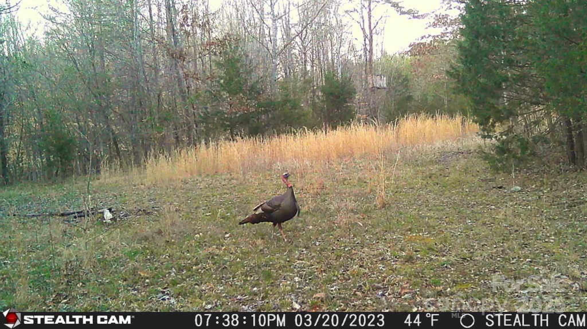 0 Mountain Road Cleveland, NC 27013 - Photo 24 of 39 Gallery Image 24