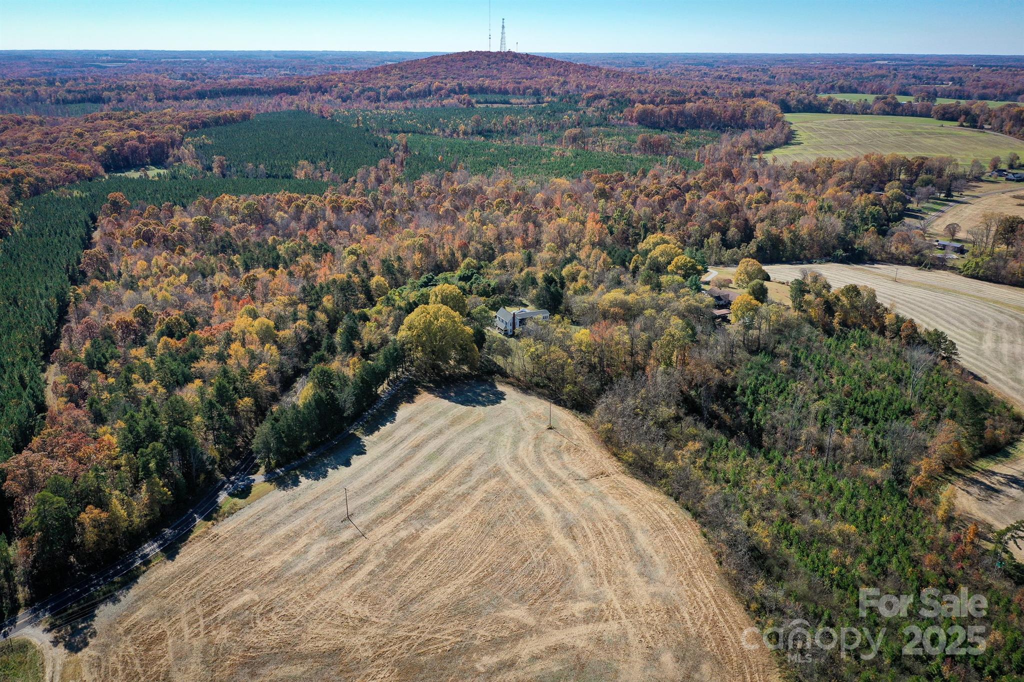 0 Mountain Road Cleveland, NC 27013 - Photo 25 of 39 Gallery Image 25
