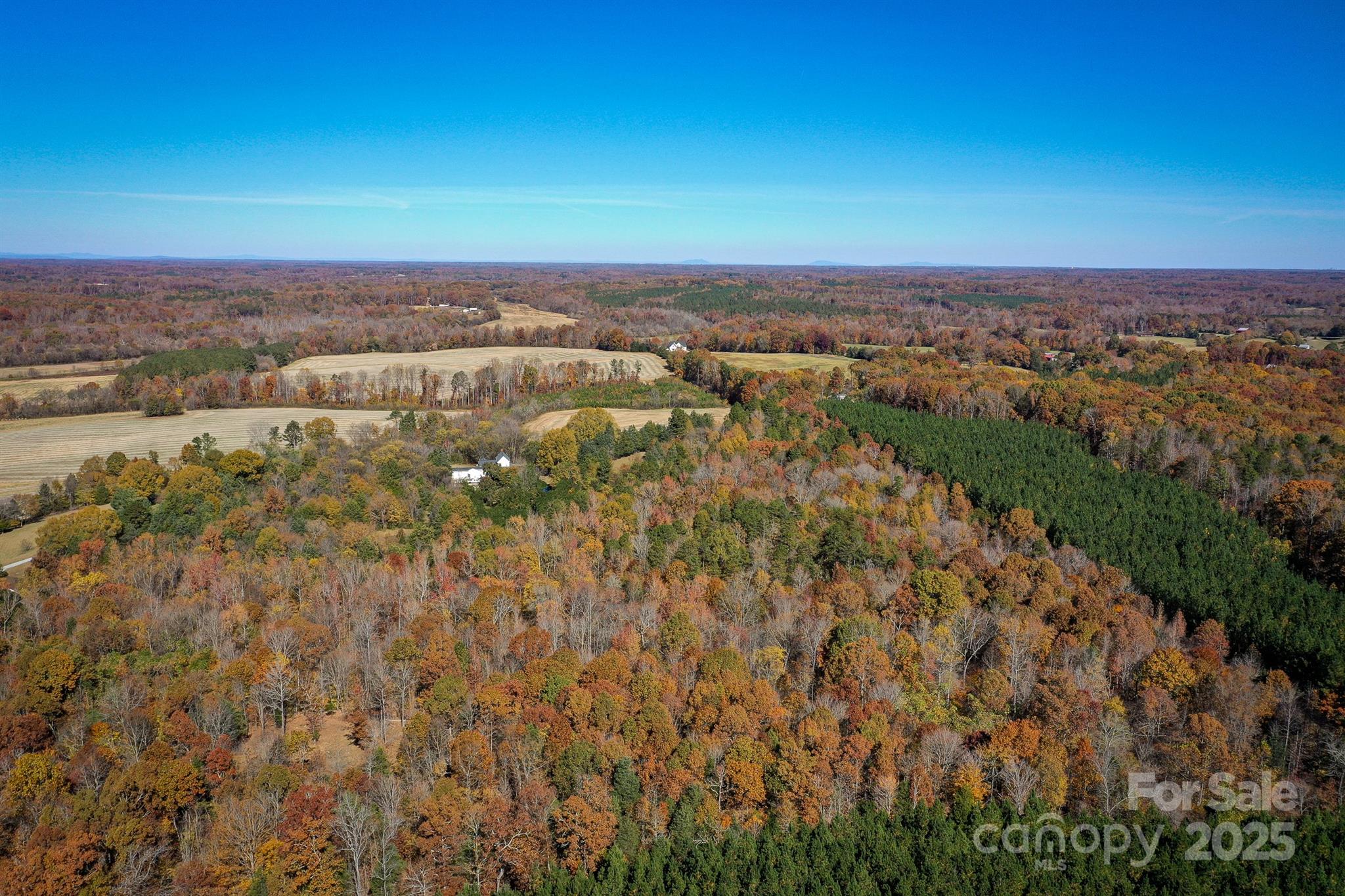 0 Mountain Road Cleveland, NC 27013 - Photo 28 of 39 Gallery Image 28