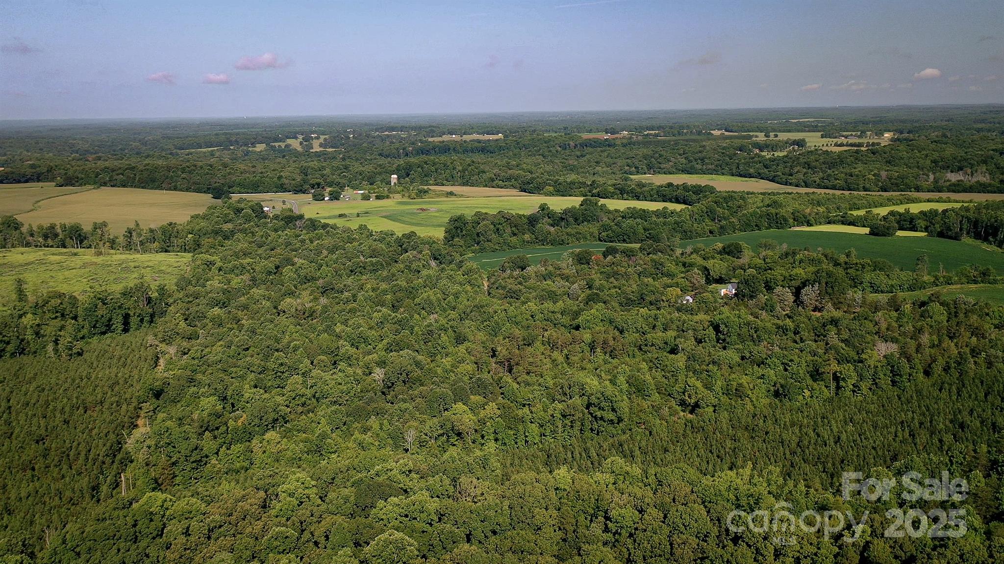 0 Mountain Road Cleveland, NC 27013 - Photo 34 of 39 Gallery Image 34