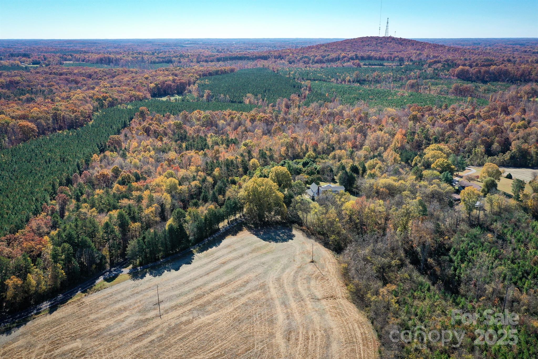 0 Mountain Road Cleveland, NC 27013 - Photo 38 of 39 Gallery Image 38