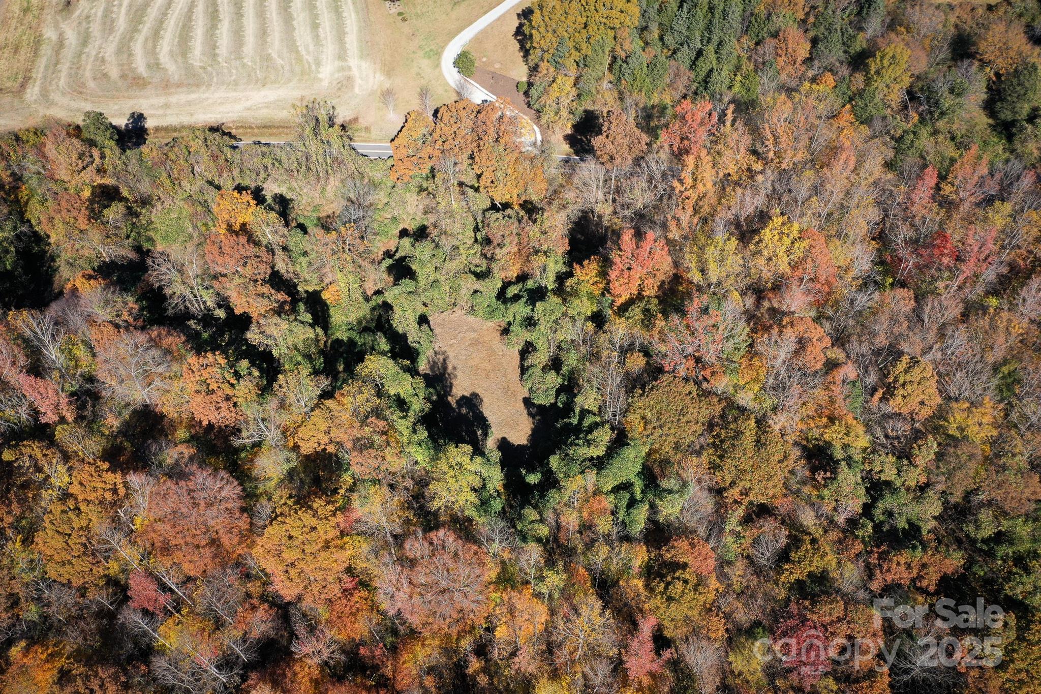 0 Mountain Road Cleveland, NC 27013 - Photo 5 of 39 Gallery Image 5