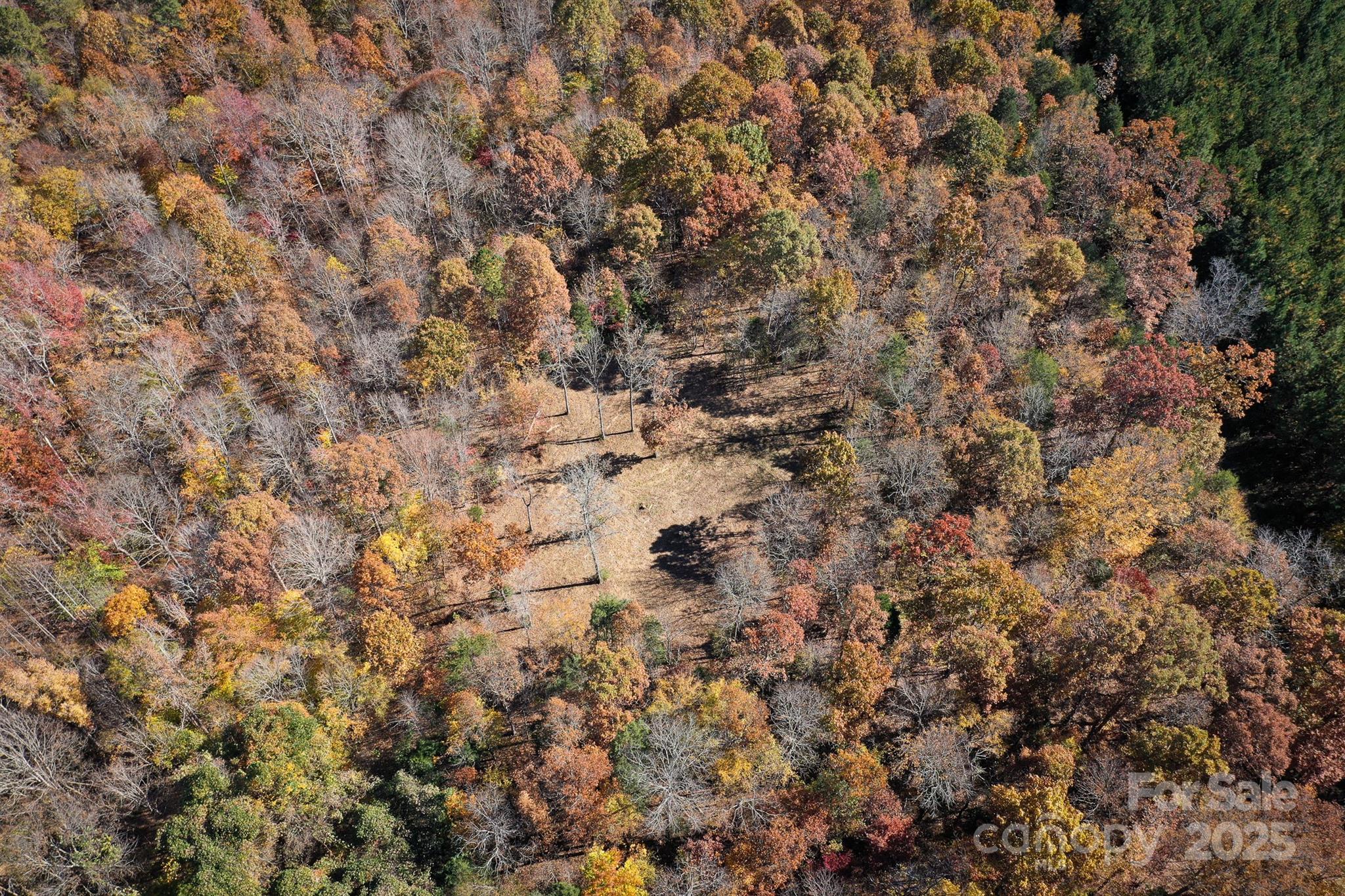 0 Mountain Road Cleveland, NC 27013 - Photo 6 of 39 Gallery Image 6