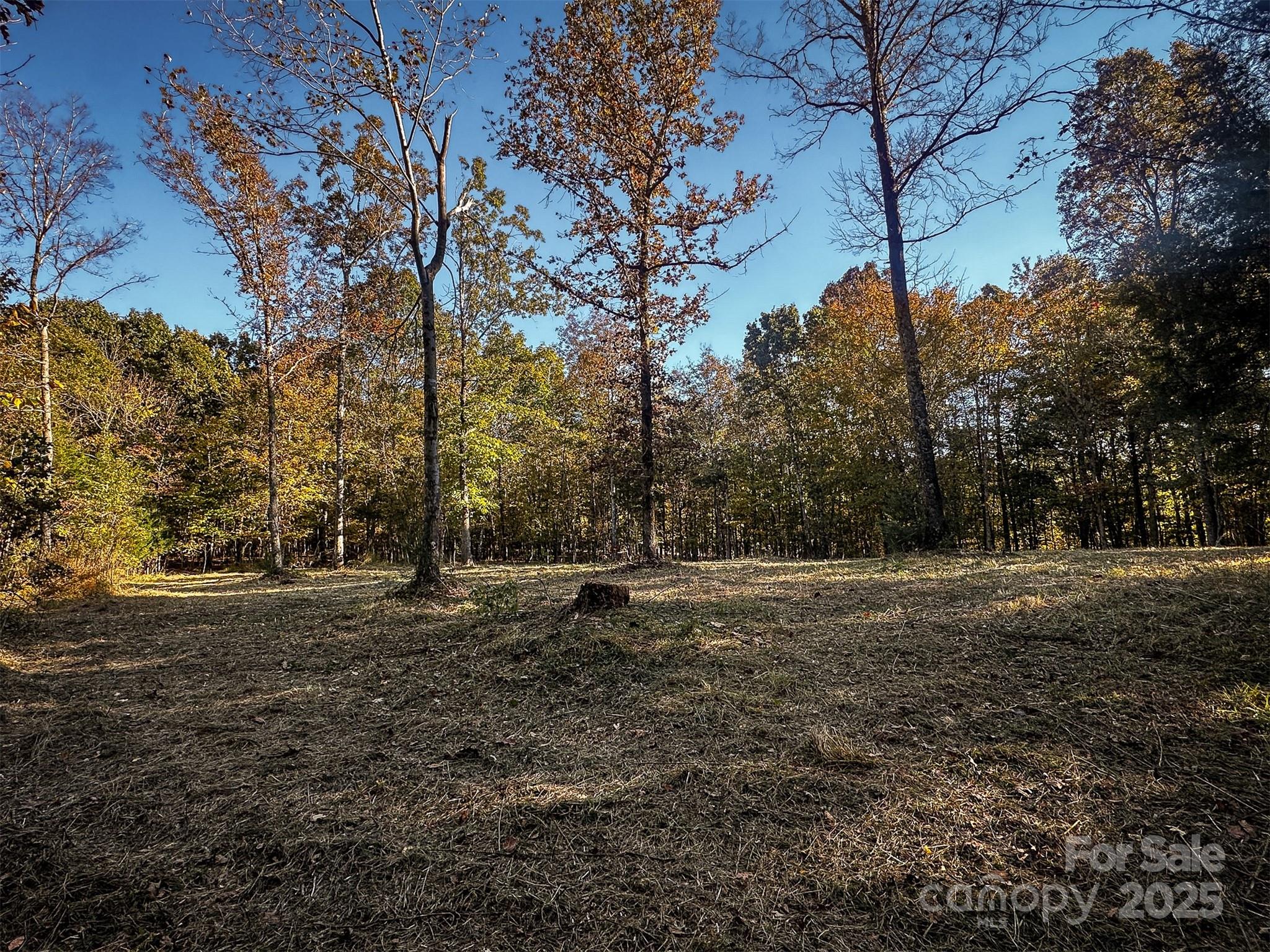 0 Mountain Road Cleveland, NC 27013 - Photo 7 of 39 Gallery Image 7