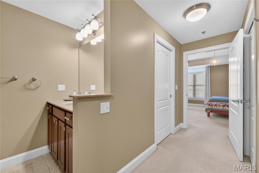 540 North And South Road, Unit 103 University City, MO 63130 - Photo 14 of 19