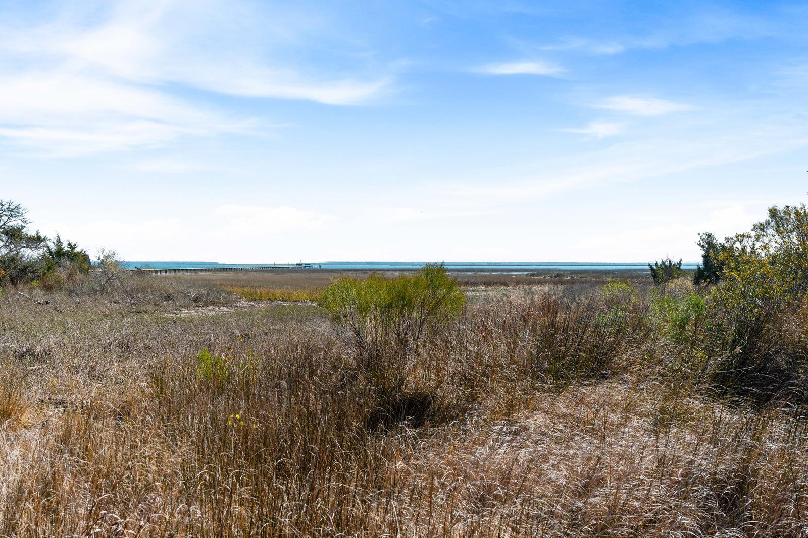 1637 Boston Grill Rd Mount Mount Pleasant, SC 29466 - Photo 13 of 24 18