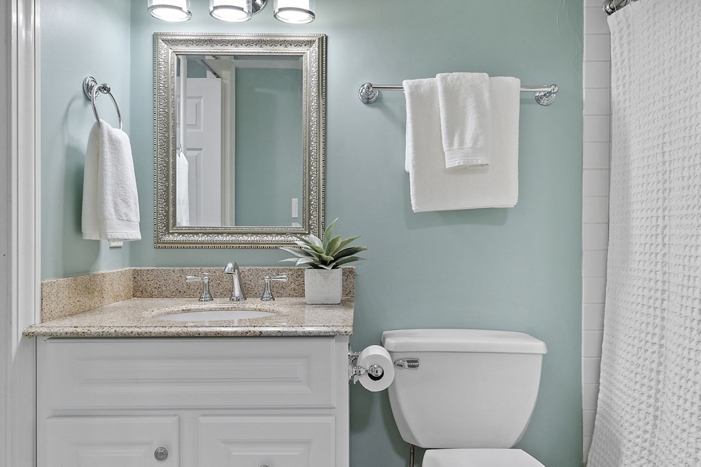 25 Holly Lane, Unit 2A Brookline, MA 02467 - Photo 11 of 34 a bathroom with a toilet sink and mirror