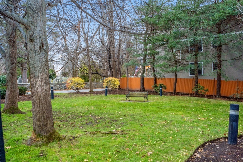 25 Holly Lane, Unit 2A Brookline, MA 02467 - Photo 7 of 34 a view of backyard with a garden and trees