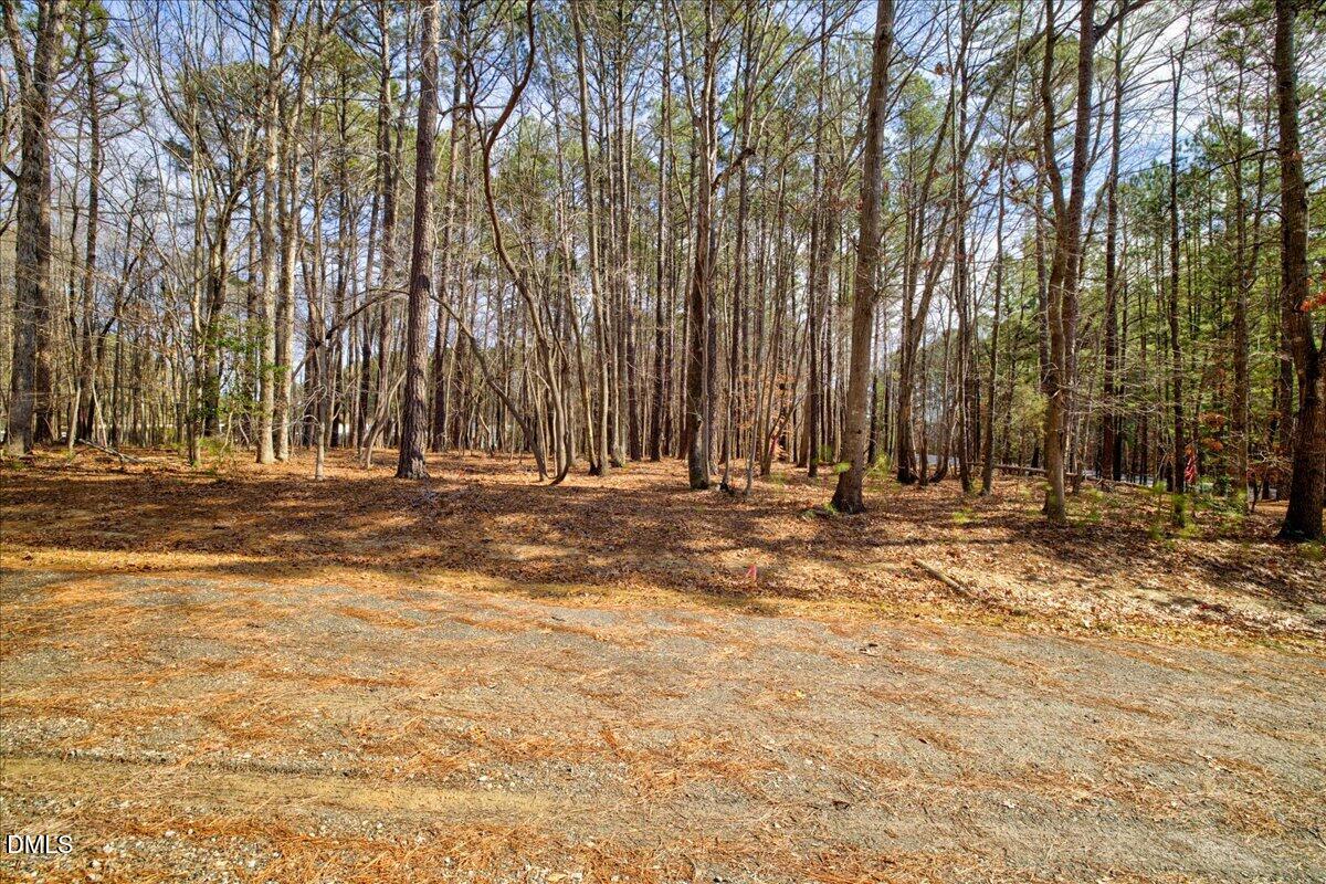 Lot 2 Rusty Spur Lane Raleigh, NC 27614 - Photo 19 of 23 Gallery Image 19