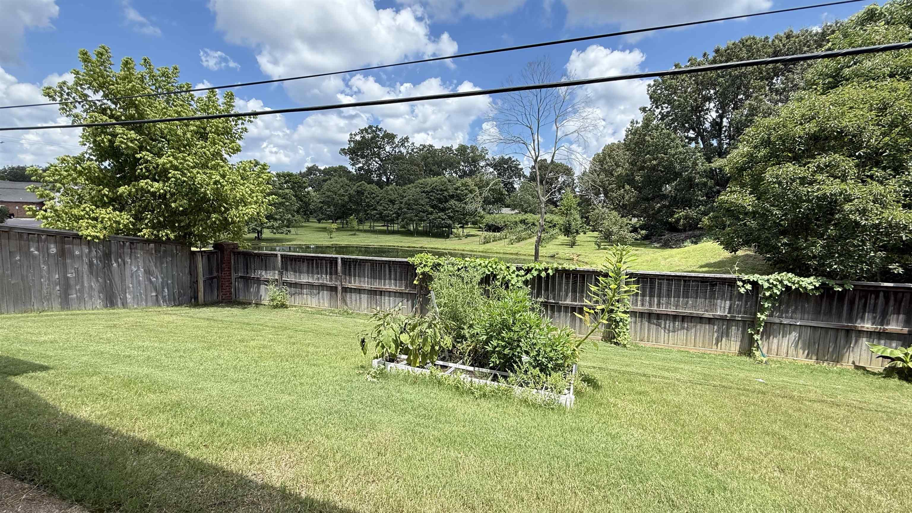 1746 Chadwick Farms Loop North Collierville, TN 38017 - Photo 33 of 35 View of fenced backyard