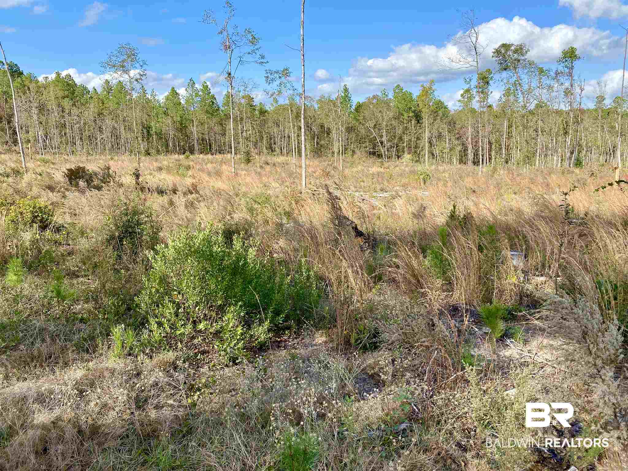 0 County Road 19 Chatom, AL 36518 - Photo 16 of 18