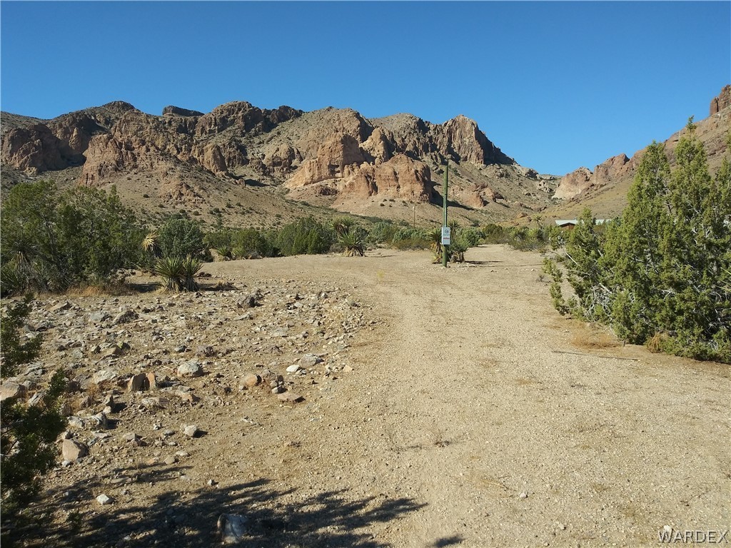 a view of a dry yard with mountains in the background