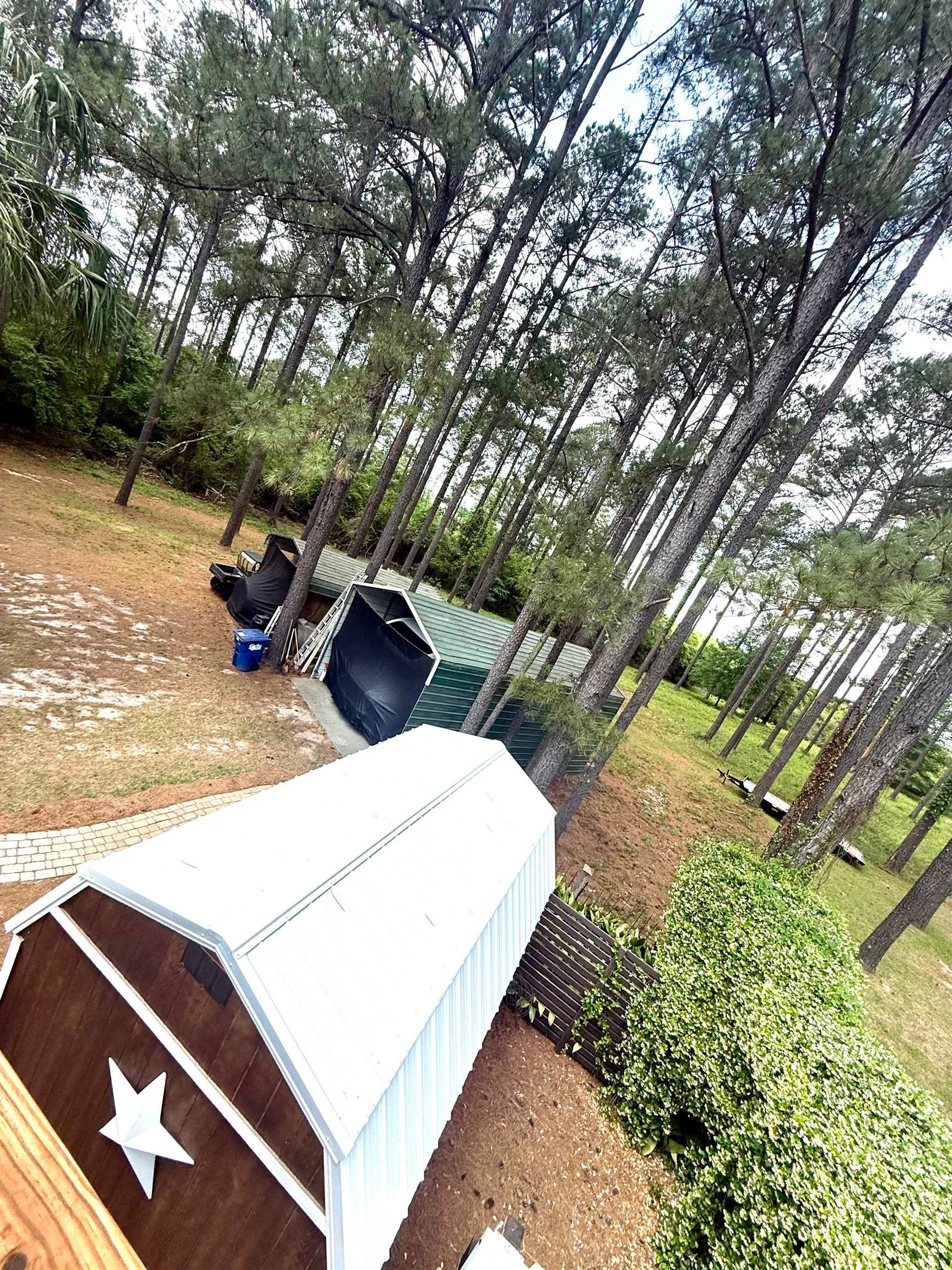 29029 Cottle Creek Road Andalusia, AL 36421 - Photo 27 of 35 Gallery Image 27
