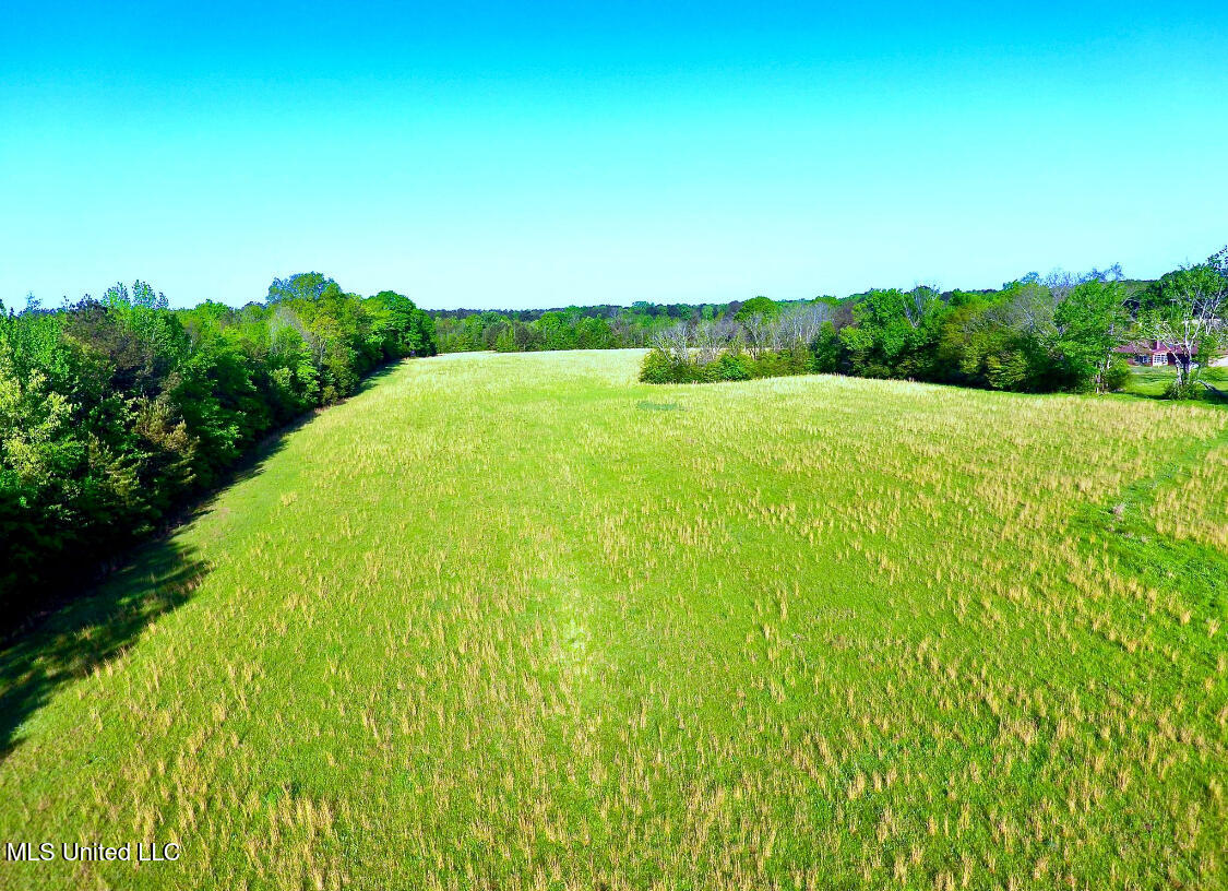 550 McCullough-McLin Road Florence, MS 39073 - Photo 2 of 5 IMG_1080