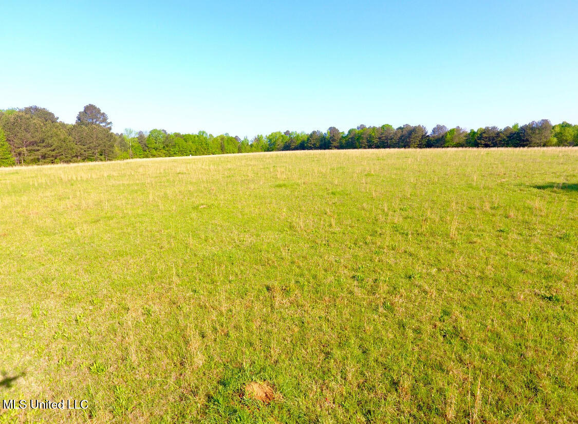 550 McCullough-McLin Road Florence, MS 39073 - Photo 3 of 5 IMG_1083