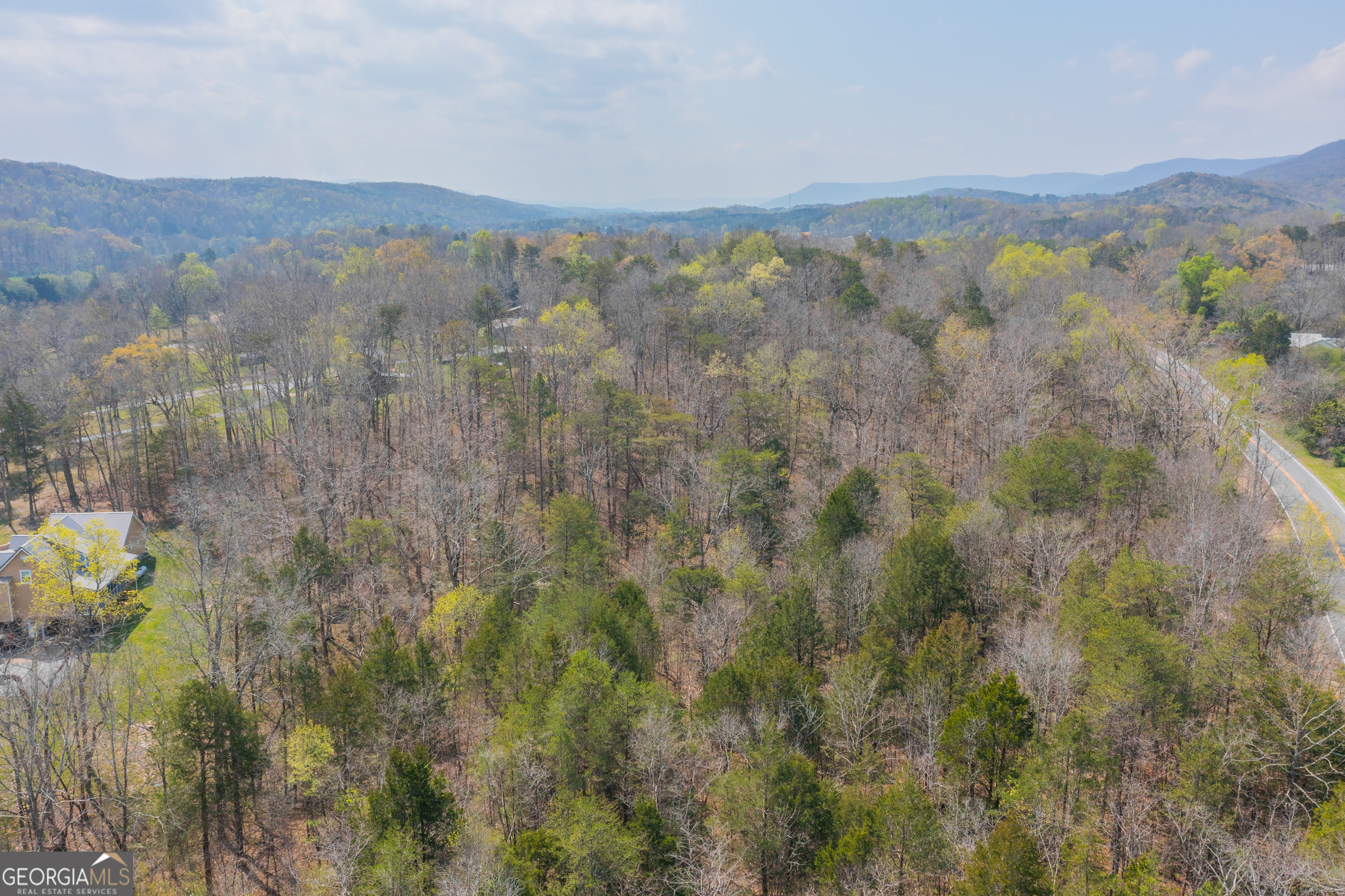 1007 Kendrick's Switch Road, Unit TRACT 2 Chickamauga, GA 30707 - Photo 2 of 12