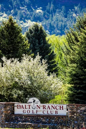 a close view of cupboard