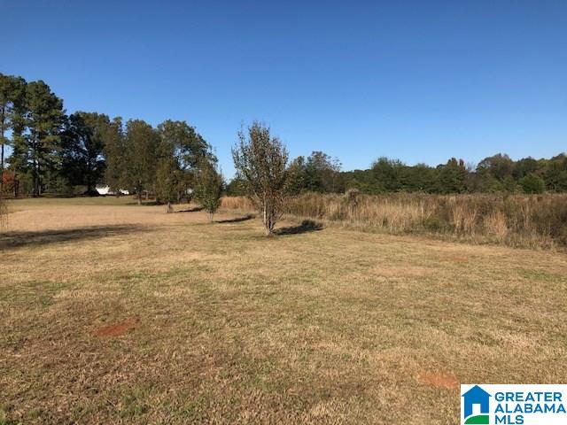 452 Curry Station Road Munford, AL 36268 - Photo 30 of 33