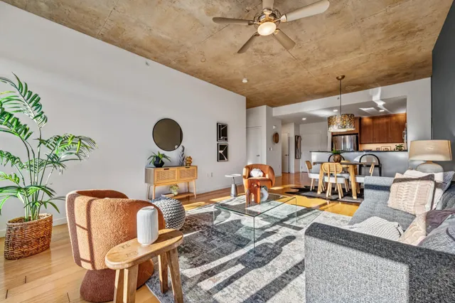 a living room with furniture and a potted plant