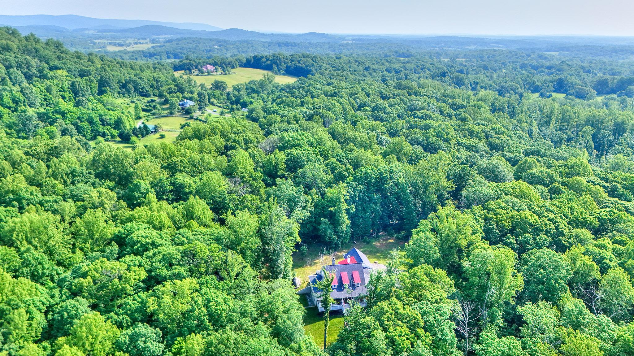 3411 Fenny Hill Road Delaplane, VA 20144 - Photo 70 of 75 Were you looking for privacy?