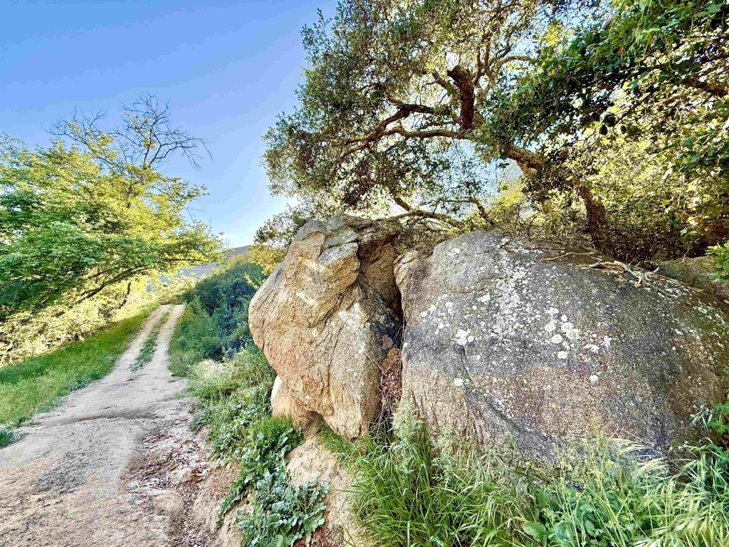 0 Mt Olympus Valley Road Fallbrook, CA 92028 - Photo 24 of 50