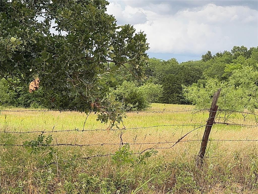 312 Terrell Tx 75161 Terrell, TX 75161 - Photo 4 of 4