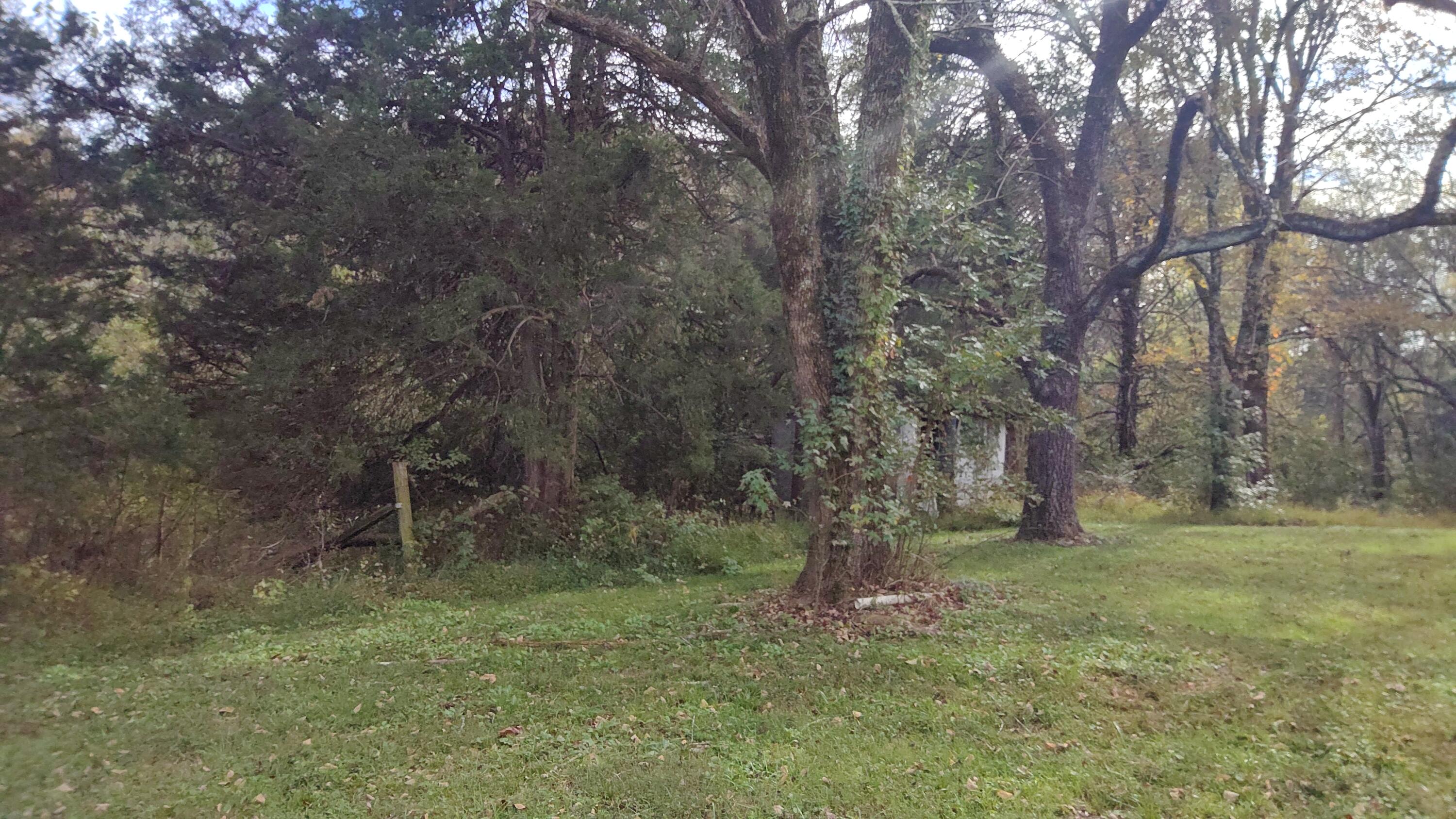 691 Summertown Road, Unit TRACT #3 Jasper, TN 37347 - Photo 15 of 17 Backyard