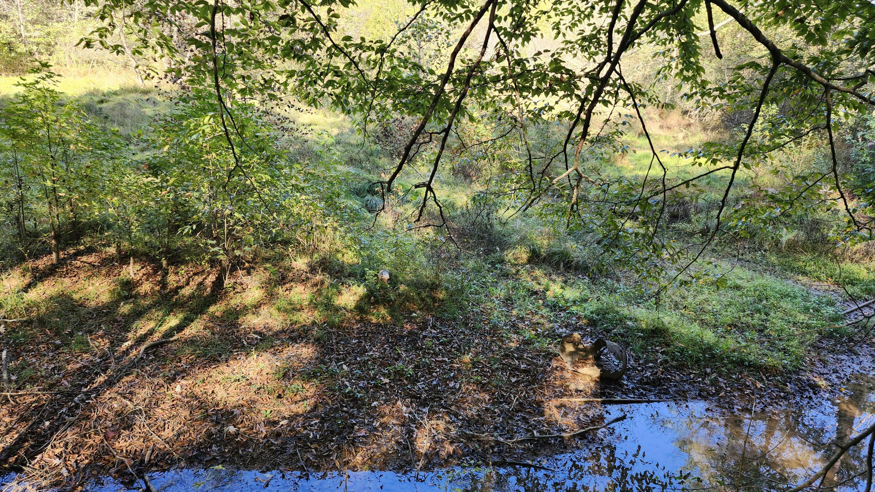 691 Summertown Road, Unit TRACT #3 Jasper, TN 37347 - Photo 6 of 17 Stream