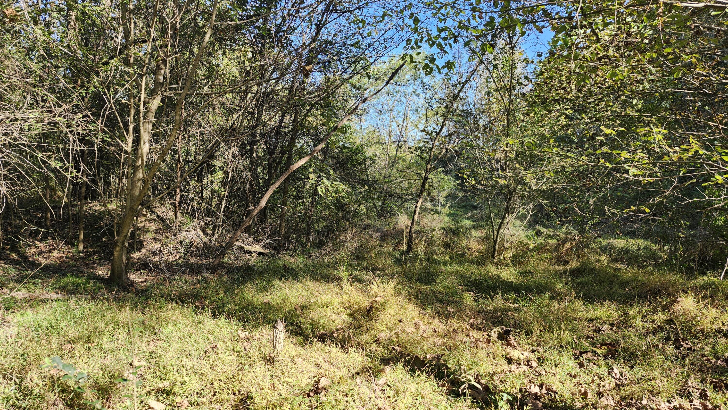 691 Summertown Road, Unit TRACT #3 Jasper, TN 37347 - Photo 9 of 17 Meadow at Rear of Property