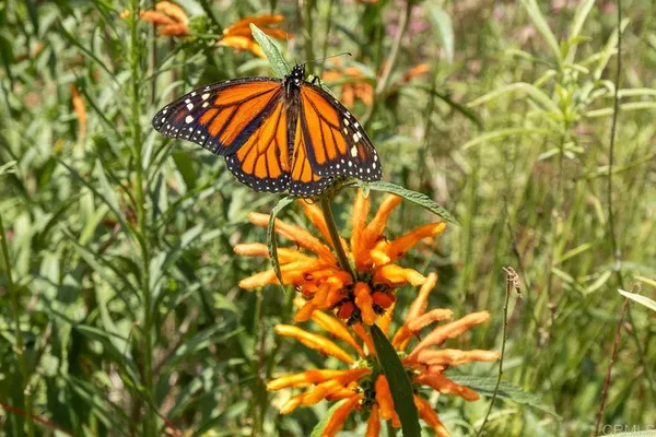 $1,130,000 | 4169 Rhodes Way, Oceanside, CA 92056