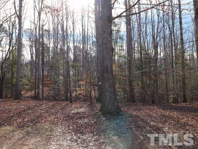 0 New Light Road Raleigh, NC 27614 - Photo 8 of 22 a view of outdoor space with lots of trees
