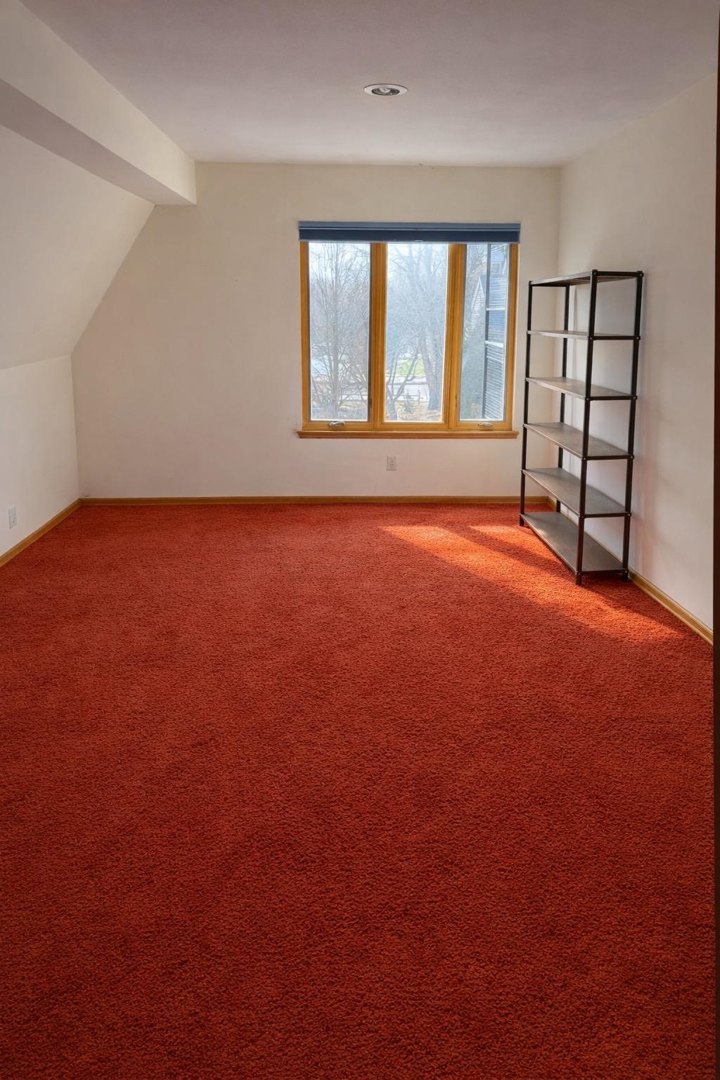 19 Red Maple Trail Madison, WI 53717 - Photo 9 of 52