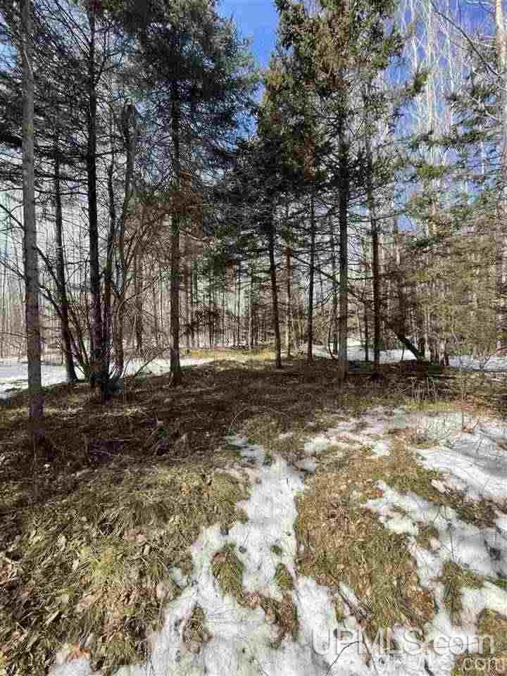 Tbd Tbd Co Road, Unit 1 Marquette, MI 49855 - Photo 25 of 50
