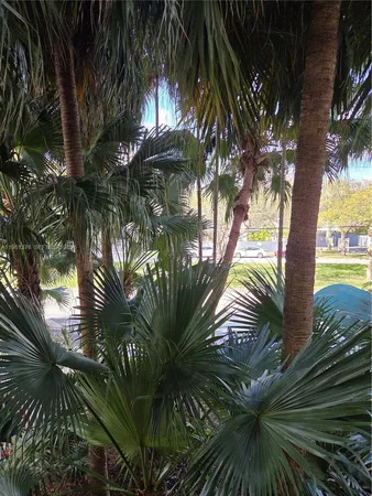 $1,800 | 2350 Northeast 135th Street, Unit 201, North Miami, FL 33181