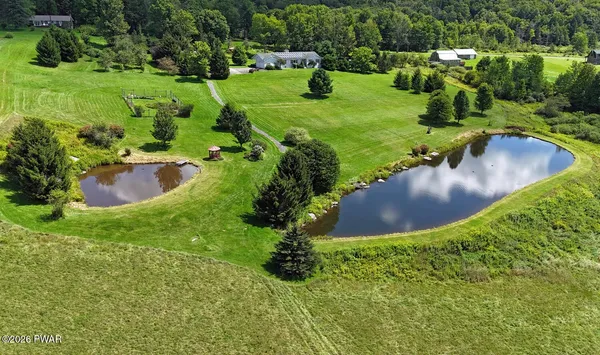 a large garden with lots of green space