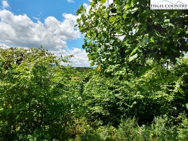Tielcroft Road Crumpler, NC 28617 - Photo 15 of 18 Gallery Image 15