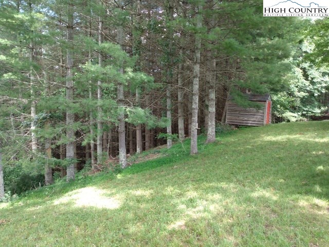 Tielcroft Road Crumpler, NC 28617 - Photo 16 of 18 Gallery Image 16