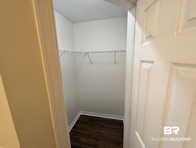 12971 Labradors Run Foley, AL 36535 - Photo 19 of 23 Walk-in closet featuring wire shelving, white baseboards, and wood-finish flooring