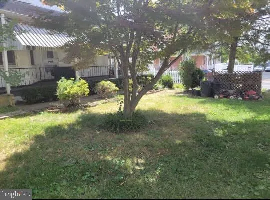 a view of a yard with yellow plants