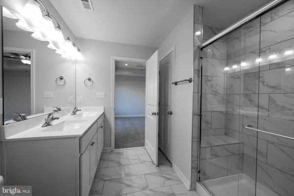 a bathroom with a double vanity sink a mirror and a shower