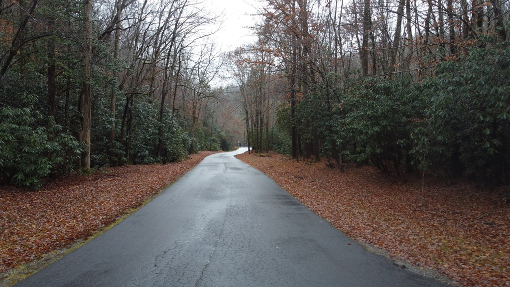 10.6-ac Cross Crk Cv Road Andrews, NC 28901 - Photo 14 of 38