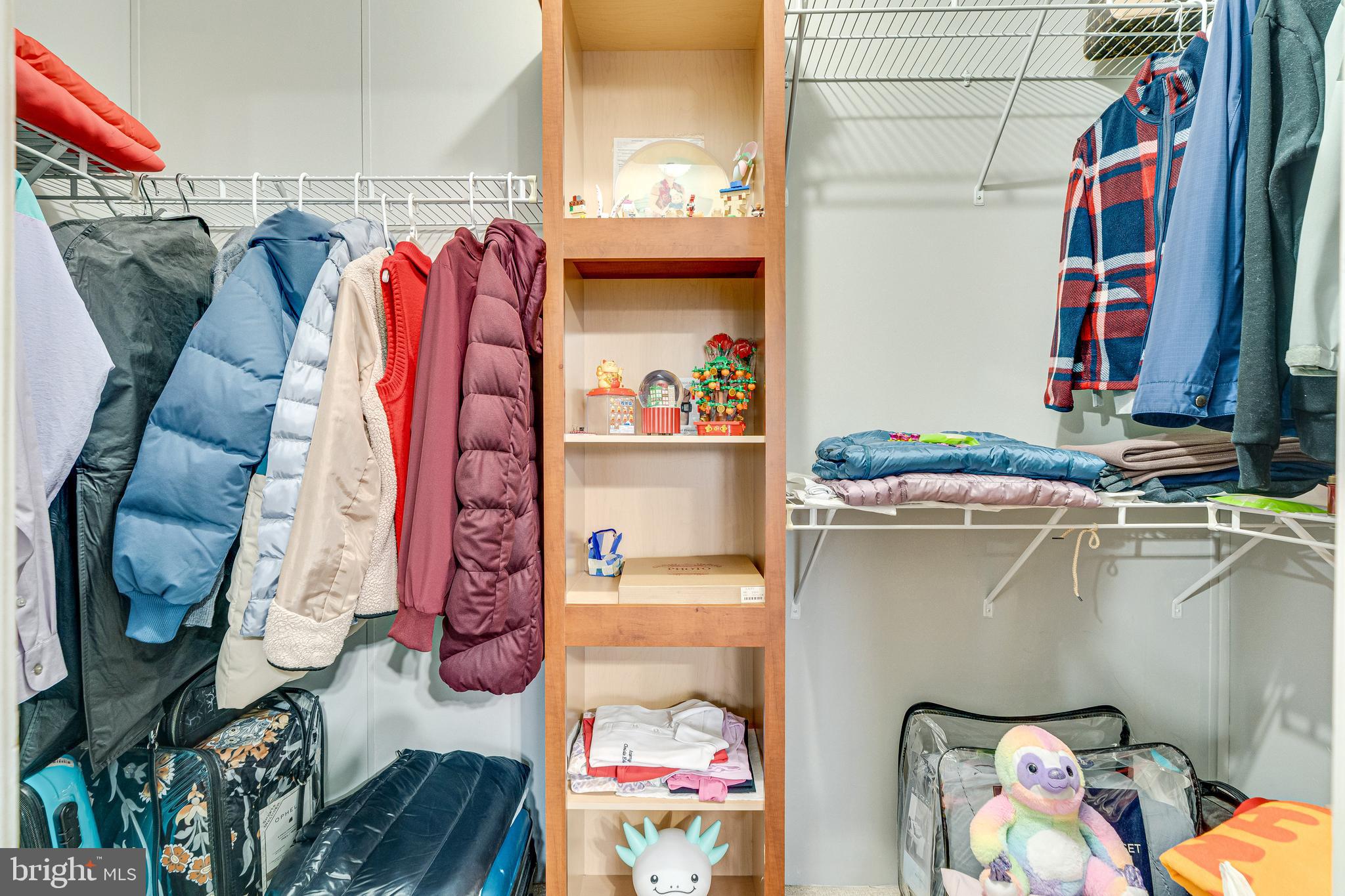14640 Lufthansa Circle Chantilly, VA 20151 - Photo 18 of 35 Primary walk in closet