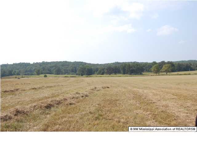 520 Lane Road Falkner, MS 38629 - Photo 2 of 25 Additional Photo