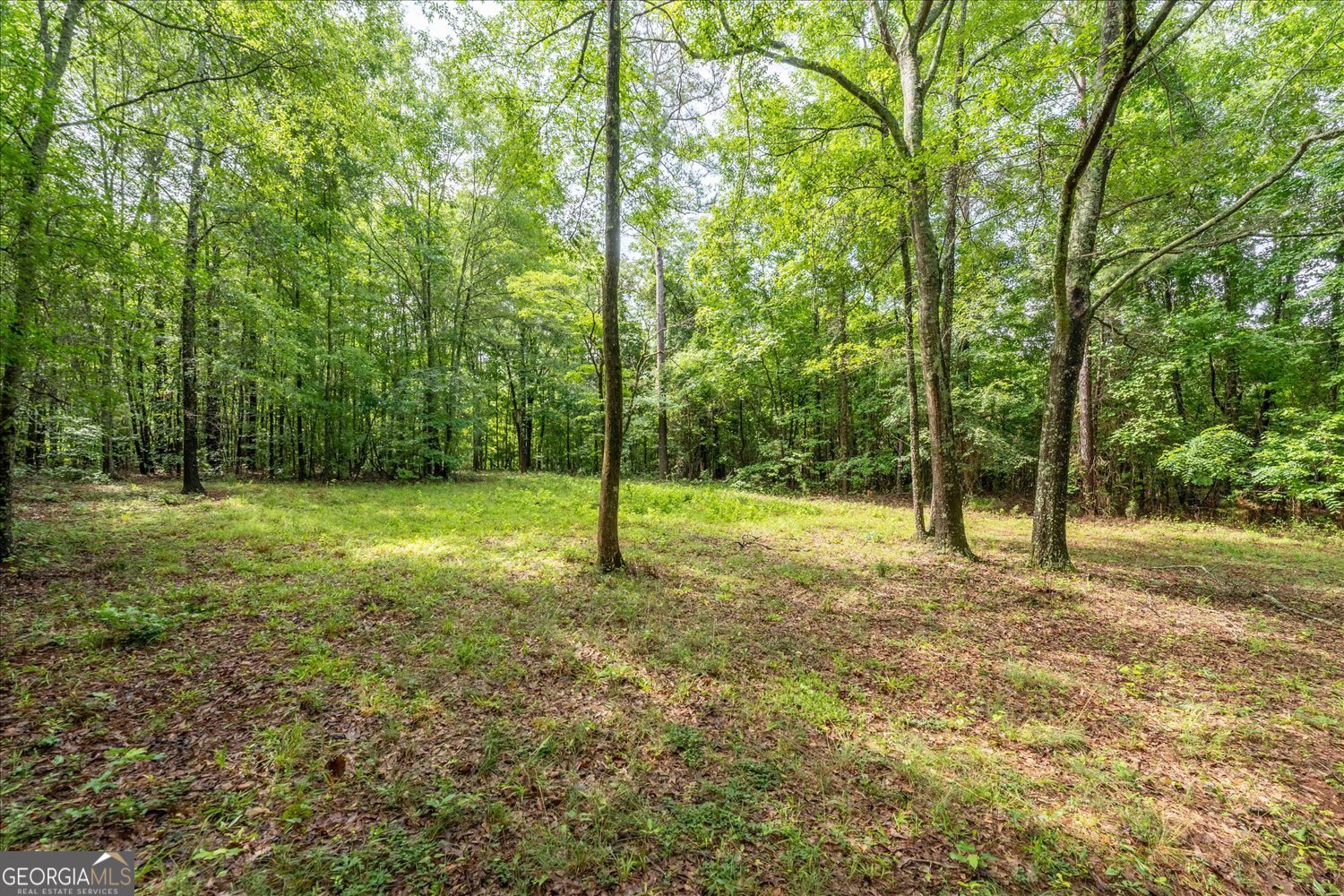 3328 Lundberg Road Washington, GA 30673 - Photo 12 of 19